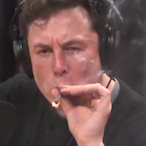 secsworker's Avatar'