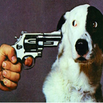 Shootmydog's Avatar'
