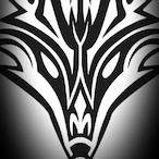 XxKing_FoxXx's Avatar'
