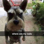 SlashGR4073's Avatar'