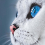 SunPharaohCat47's Avatar'