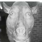 Chinese_gov_bad's Avatar'