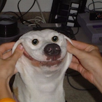 gg_Meta's Avatar'