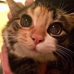 its.me.Kisuu's Avatar'