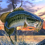 bassfisher65222's Avatar
