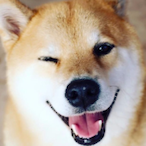 stinky_dart's Avatar'