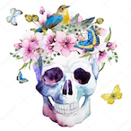 ShampooMP4's Avatar'