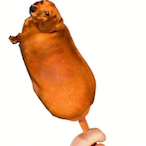 NUT_FUDGE_21's Avatar'