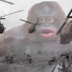 ReidTheCoolKid's Avatar'