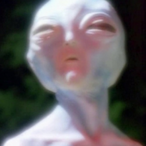 i run funds's Avatar'