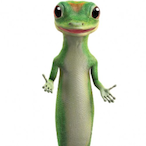Stegogecko's Avatar'