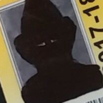 HardlyFlacid's Avatar'