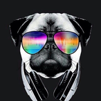 zePocao's Avatar'