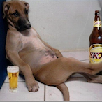 Loading...Pigi's Avatar'