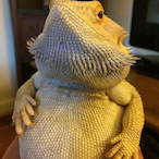OminousDraco's Avatar'