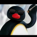 Pingu_On-PINGAZ's Avatar'