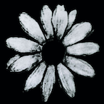 LGN Cardiac's Avatar