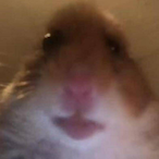 Funkey ehh69's Avatar'