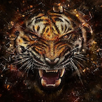 Lizther's Avatar'