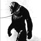 GhostChud's Avatar'