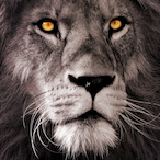 ASR_JustSimo's Avatar'