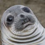 Leany.Beast's Avatar