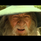 StropierLotus's Avatar'