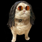 ELPIKATWOFLY's Avatar'