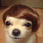 jcbobr's Avatar'