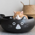 greasy-gordan's Avatar'