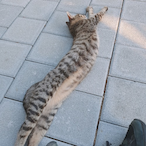 Fuze_Villain's Avatar'