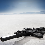 FuzzyWhiteLion's Avatar