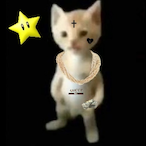 lOttarl's Avatar'