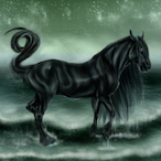 meowelflock's Avatar'