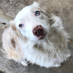 invalid gI's Avatar'