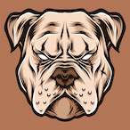 IITEOII_Shadows's Avatar'