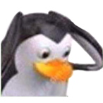 Salikuu's Avatar'