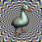 AlwaysTacoman's Avatar'
