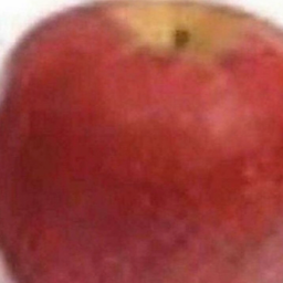 realrealgort