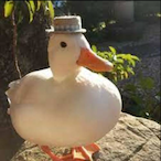 VeryYoungIgi's Avatar'