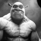 GigaChadShrek's Avatar'