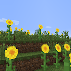 SirSunflower's Avatar'