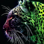 GhostMPT's Avatar'