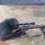 TugzTheGoat's Avatar'