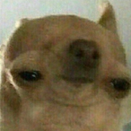 divinelarp's Avatar'