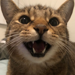 aznbbygurl's Avatar'