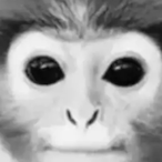 SethP-.-'s Avatar'