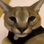 Bjorn63's Avatar'