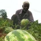 Yuswing1485's Avatar'