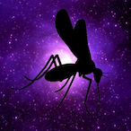 MZ-l4chl4n1's Avatar'
